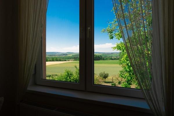 Appartement Hortenzia Vendégház Mór Extérieur photo