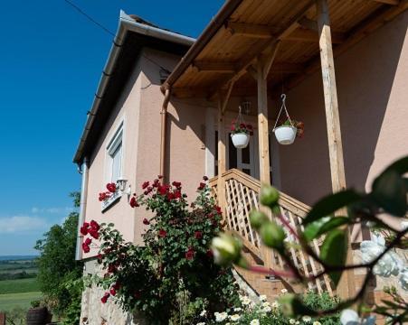 Appartement Hortenzia Vendégház Mór Extérieur photo